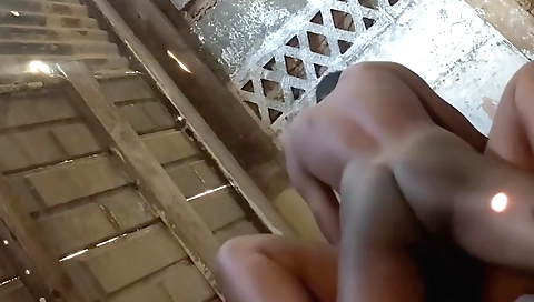 Exotic brunette in a photo album of herself on the internet