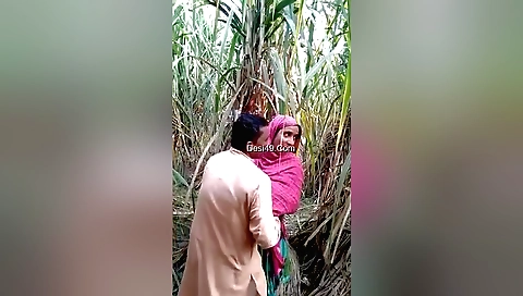 Busty brunette outdoor fucking in amateur 3d video